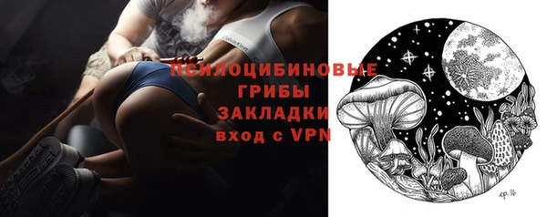 ПСИЛОЦИБИНОВЫЕ ГРИБЫ Абаза