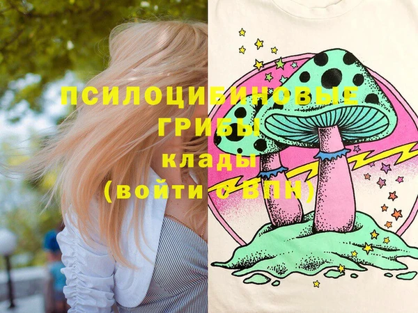 мет Россошь