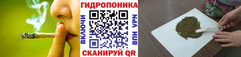 Бошки Шишки THC 21% Емва